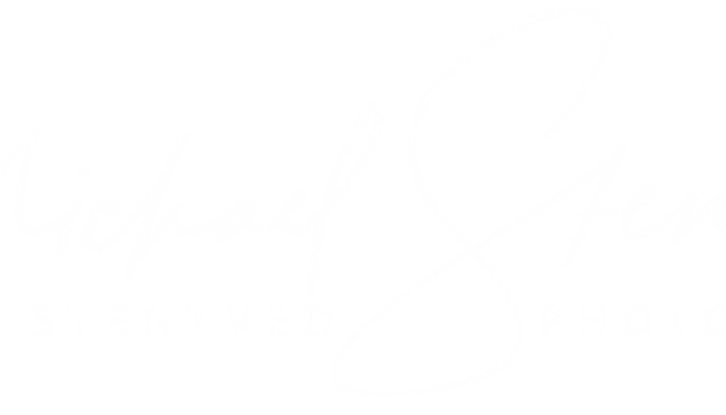 Michael-Stentved-logo